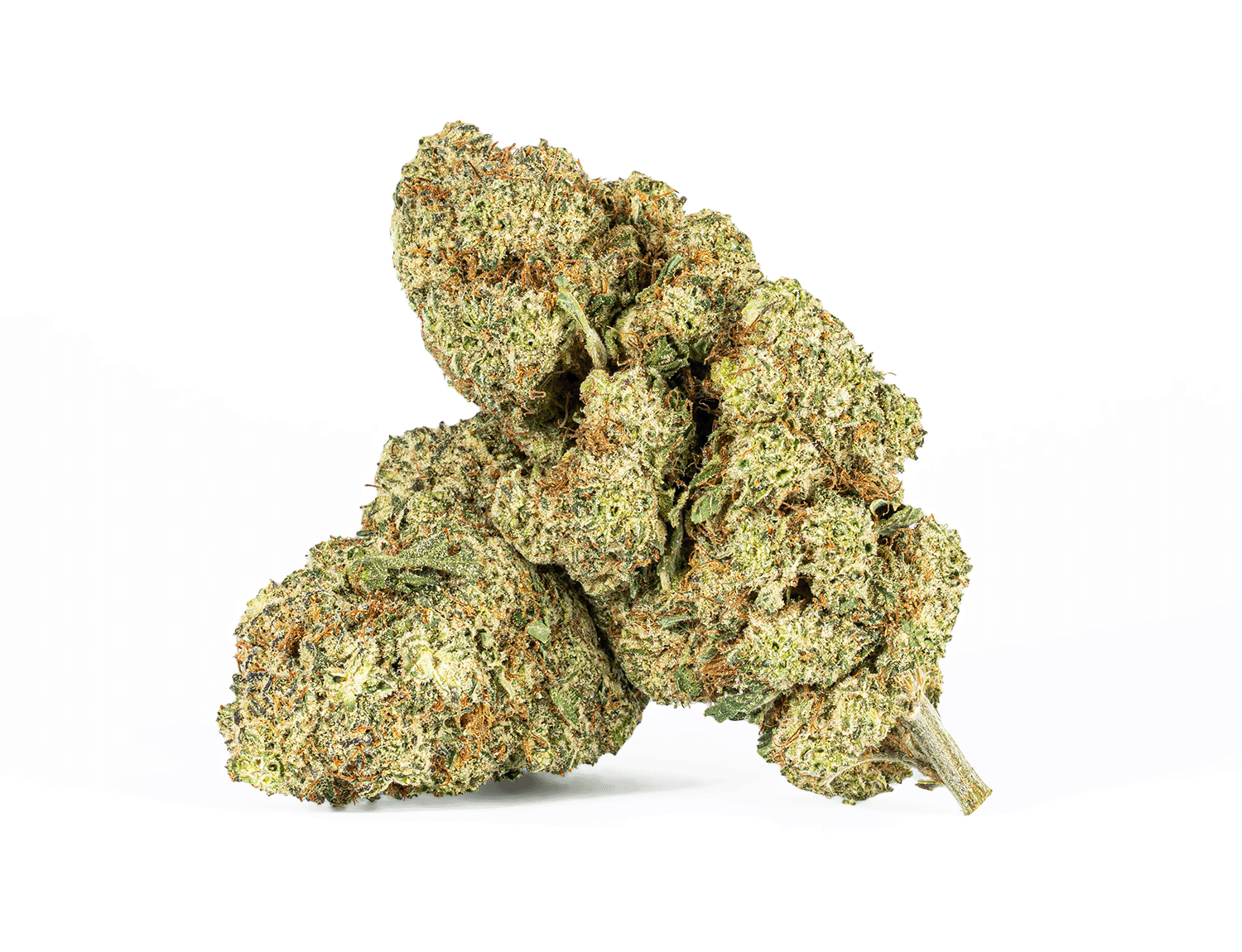 Extreme Cream (AAA)