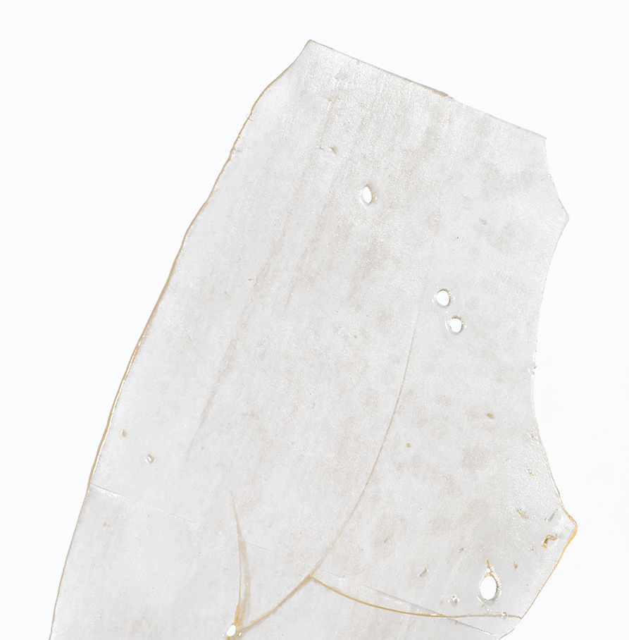 Purple Kush Shatter