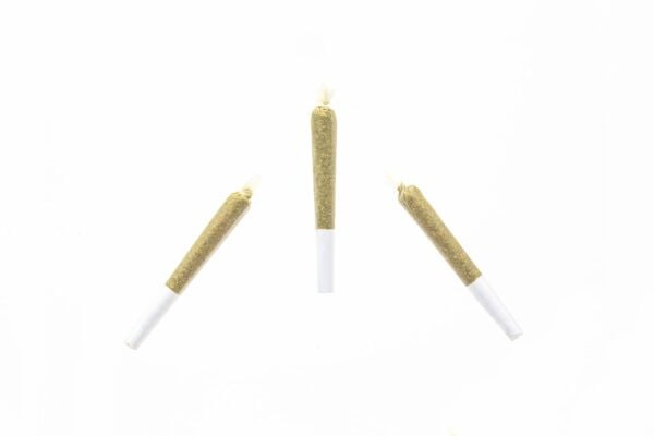 Premium Infused 0.5g House Joints – 2 Pack