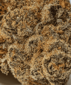blue-java-cannabis-indica-4.png