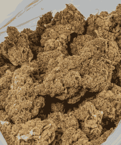 blue-java-cannabis-indica-5.png