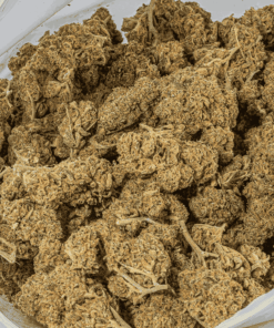 flap-jack-cannabis-indica-5.png