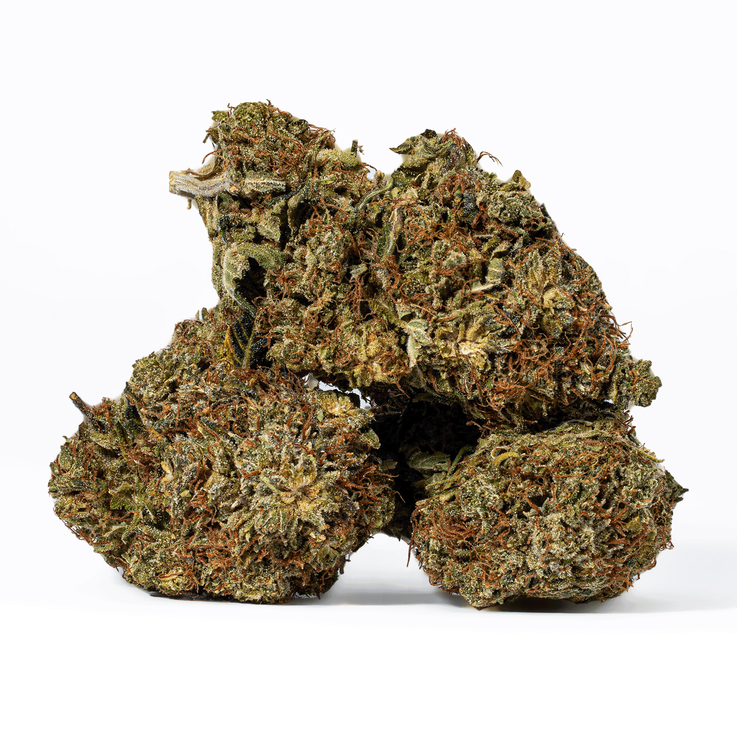 Island Sweet Skunk (AA)