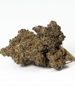 purple-wookie-cannabis-indica-3.jpg