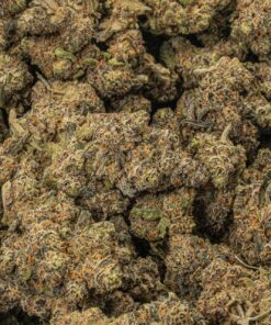 purple-wookie-cannabis-indica-5.jpg