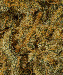 ASTRAL-HERBS-ORANGE-MINTS-4.png