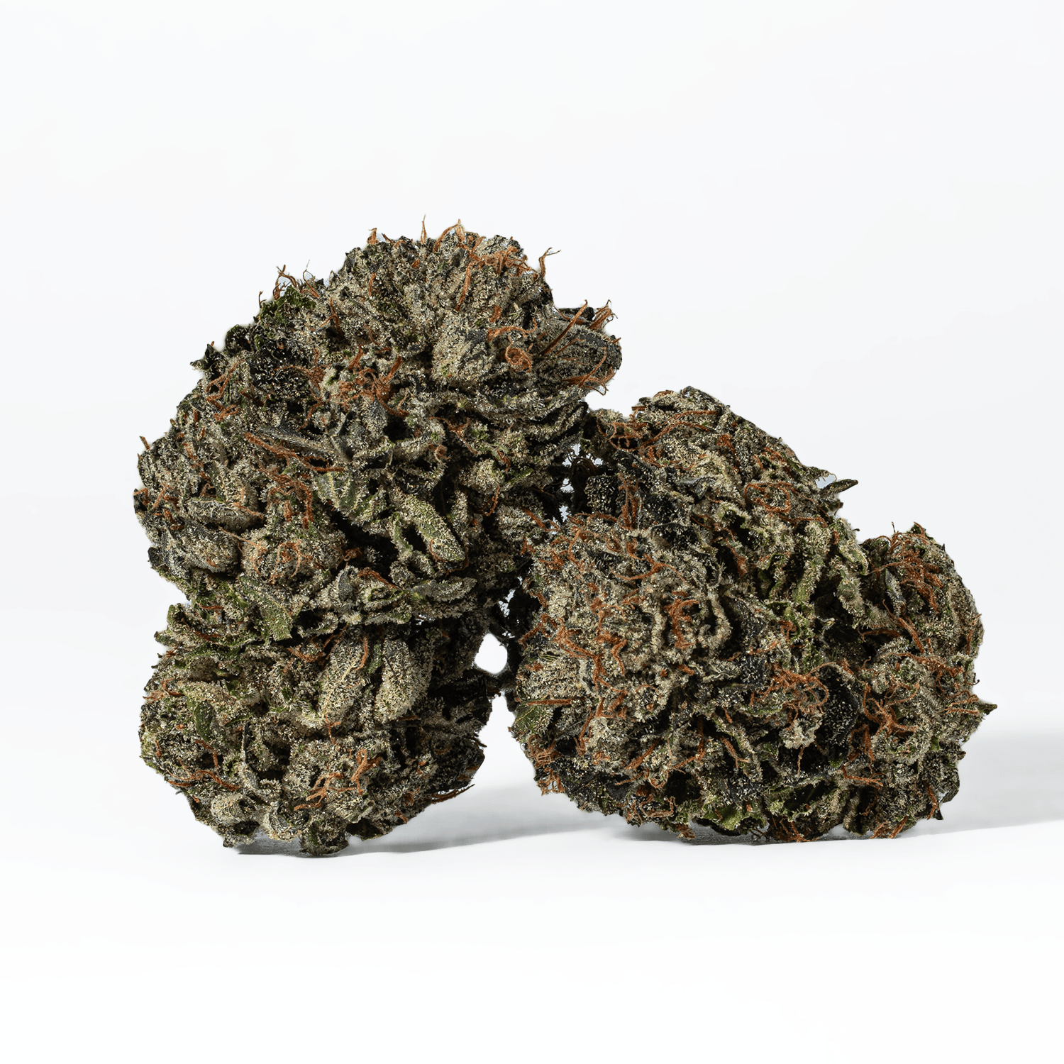 Gas Daddy (AAAA)