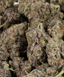 Hawaiian-Honey-Purple-6A-1.webp