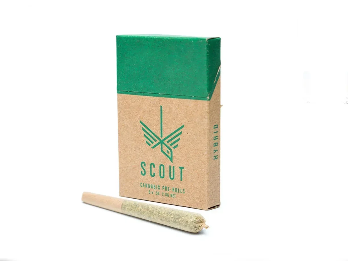 Scout – 5 Pack Pre-Rolls (0.5g) – Hybrid
