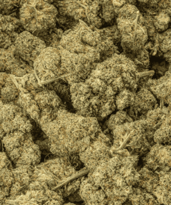 candy-corn-cannabis-indica-5.png