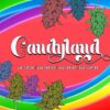 Candyland (Promo)