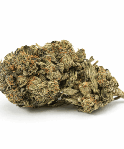 dank-schrader-cannabis-indica-3.png