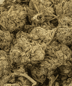 dank-schrader-cannabis-indica-5.png