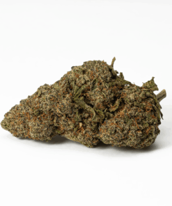 flintstones-cannabis-sativa-3.png