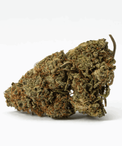 jack-herer-cannabis-sativa-3.png