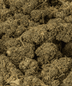 mint-cake-cannabis-indica-5.png
