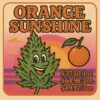 Orange Sunshine (Promo)
