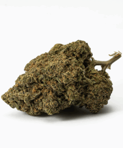 watermelon-punch-cannabis-indica-3.png