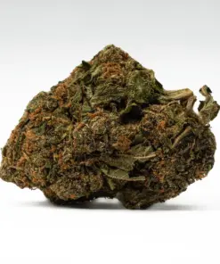 Royal-Kush-Cannabis-Indica-2-1.webp