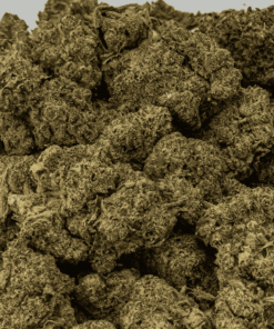 banana-cream-cannabis-indica-5.png