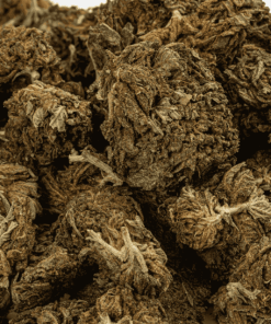 dark-cross-cannabis-indica-5.png