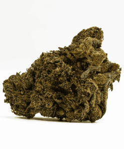 durban-poison-cannabis-sativa-3.png