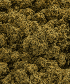 durban-poison-cannabis-sativa-5.png