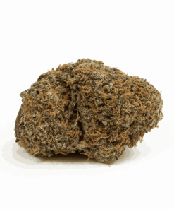 lemonberry-cannabis-sativa-3.png