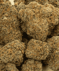 lemonberry-cannabis-sativa-5.png