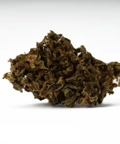 mango-tango-cannabis-indica-5.webp