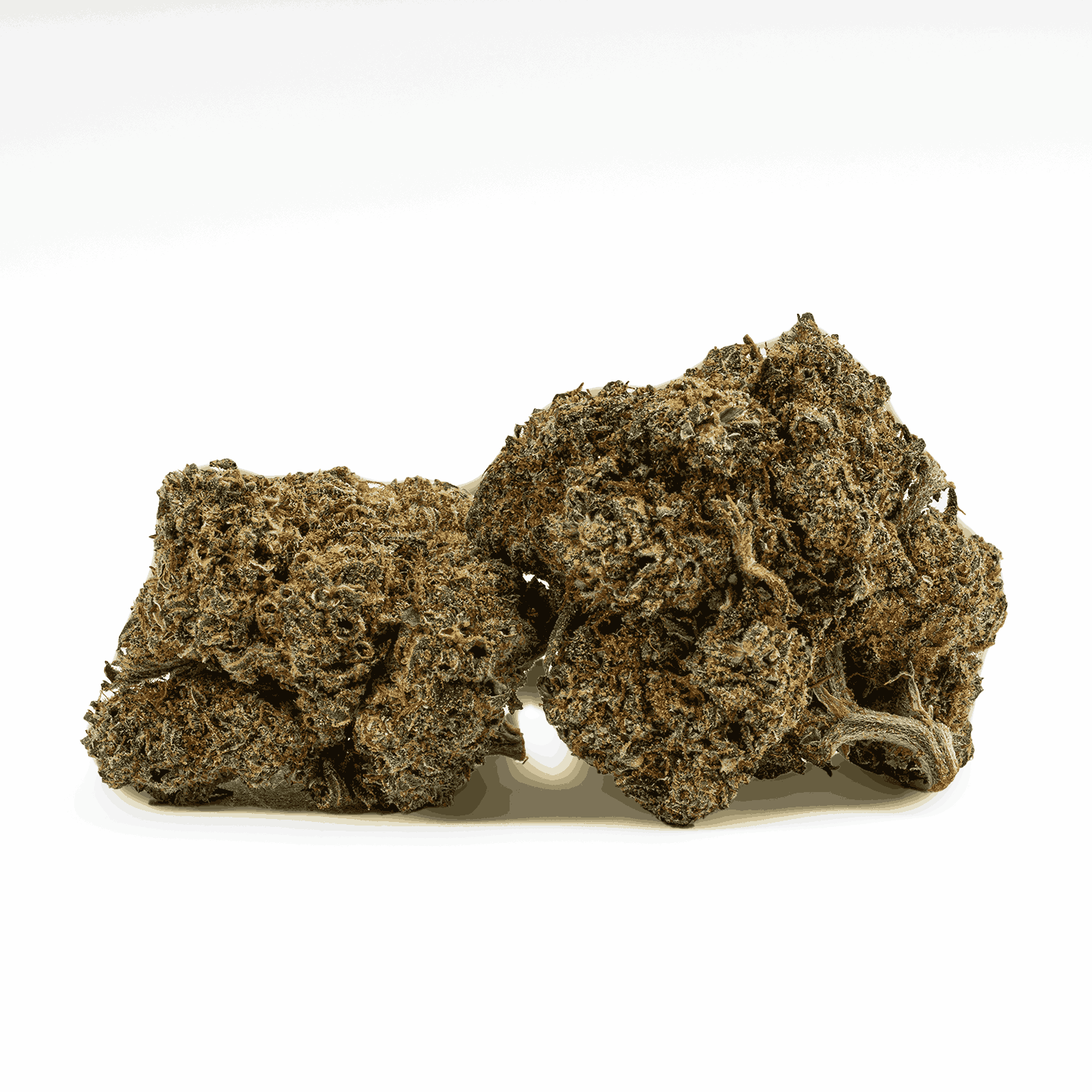 Milk Bone (AAA+)
