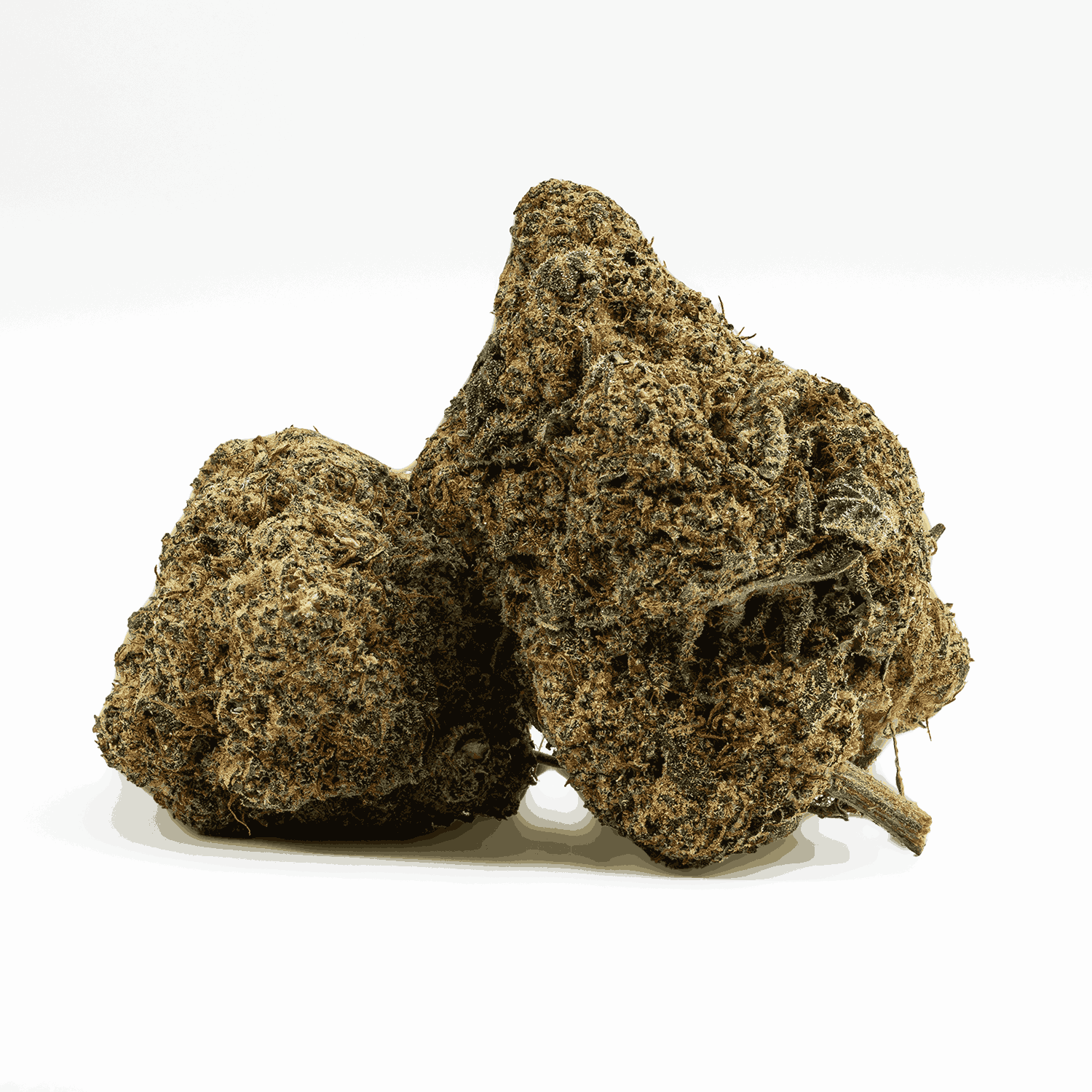 Space Jam (AA+)