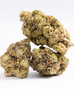 Khalifa Kush (AAAA+)