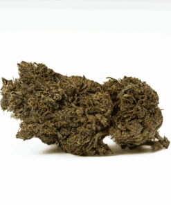 black-jesus-cannabic-indica-3.png