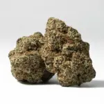 ALIEN-COOKIES-1-1.webp