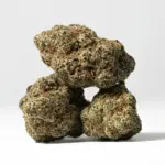 ALIEN-COOKIES-2-1.webp
