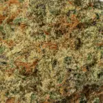 ALIEN-COOKIES-4-1.webp