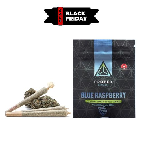 Black Friday Special Freebies Tier 2