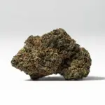 CITRUS-SKUNK-3.webp