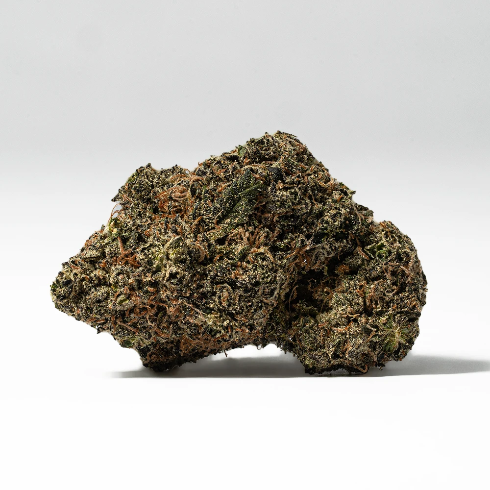 CITRUS-SKUNK-3.webp