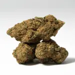 ROYAL-KUSH-2.webp