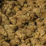 ROYAL-KUSH-5.webp