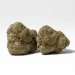 SKYWALKER-OG-1.webp