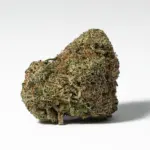 SKYWALKER-OG-3.webp