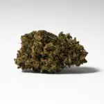 TUNA-KUSH-3.webp