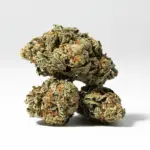 WHITE-WIDOW-2.webp
