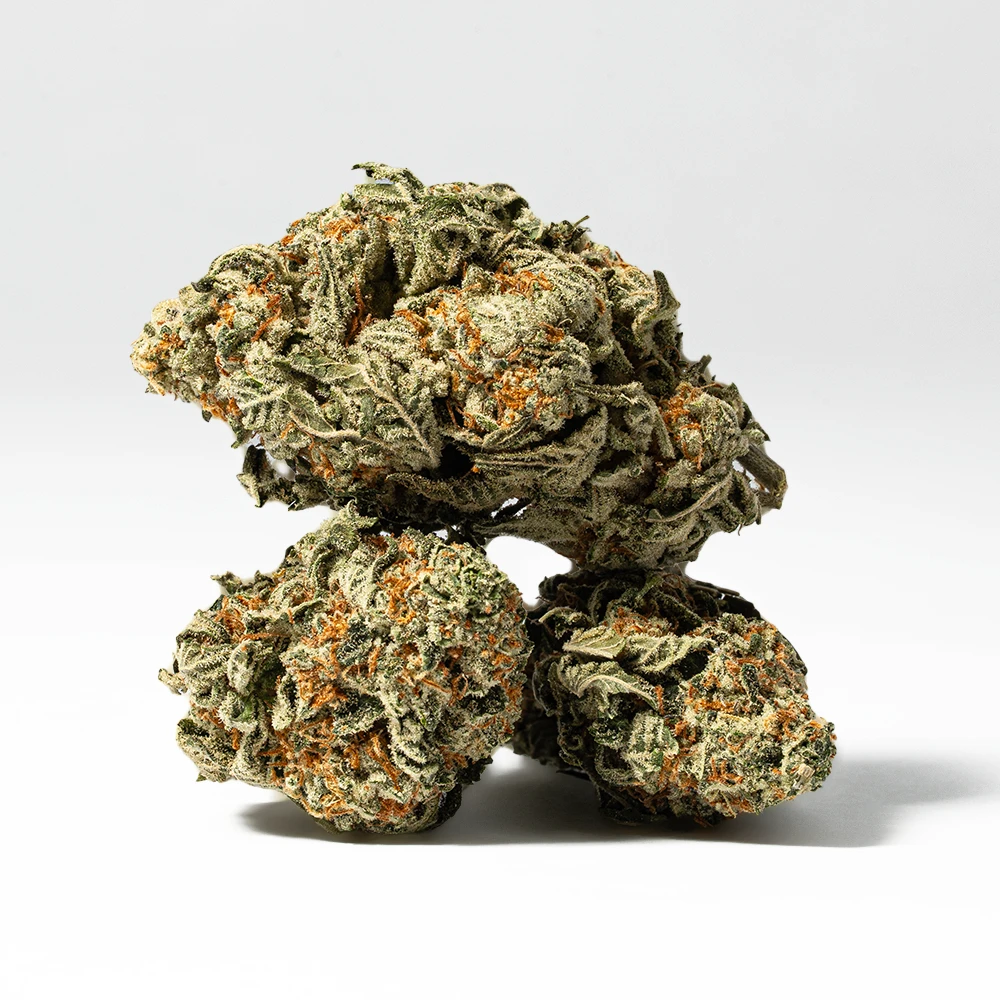 WHITE-WIDOW-2.webp