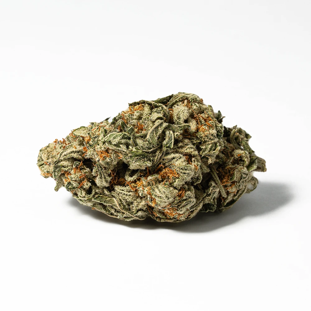 WHITE-WIDOW-3.webp