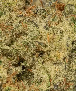 LEMON-SOUR-DIESEL-4.webp