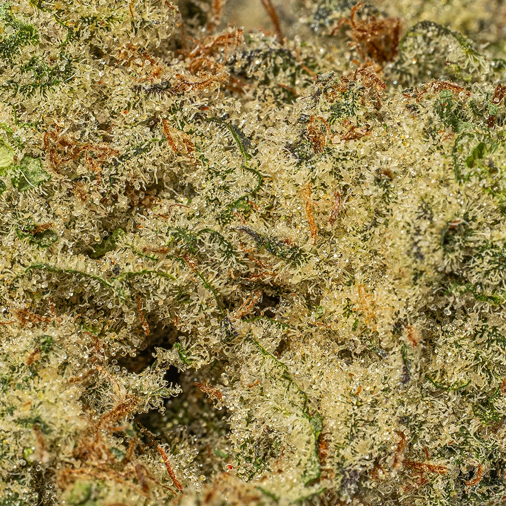 LEMON-SOUR-DIESEL-4.webp